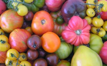 Unusual Tomato Varieties