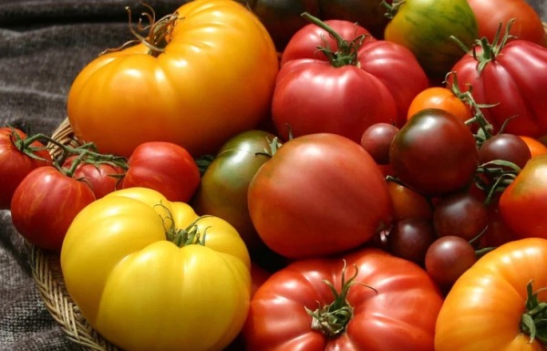 شيء على-sladkih-tomatov